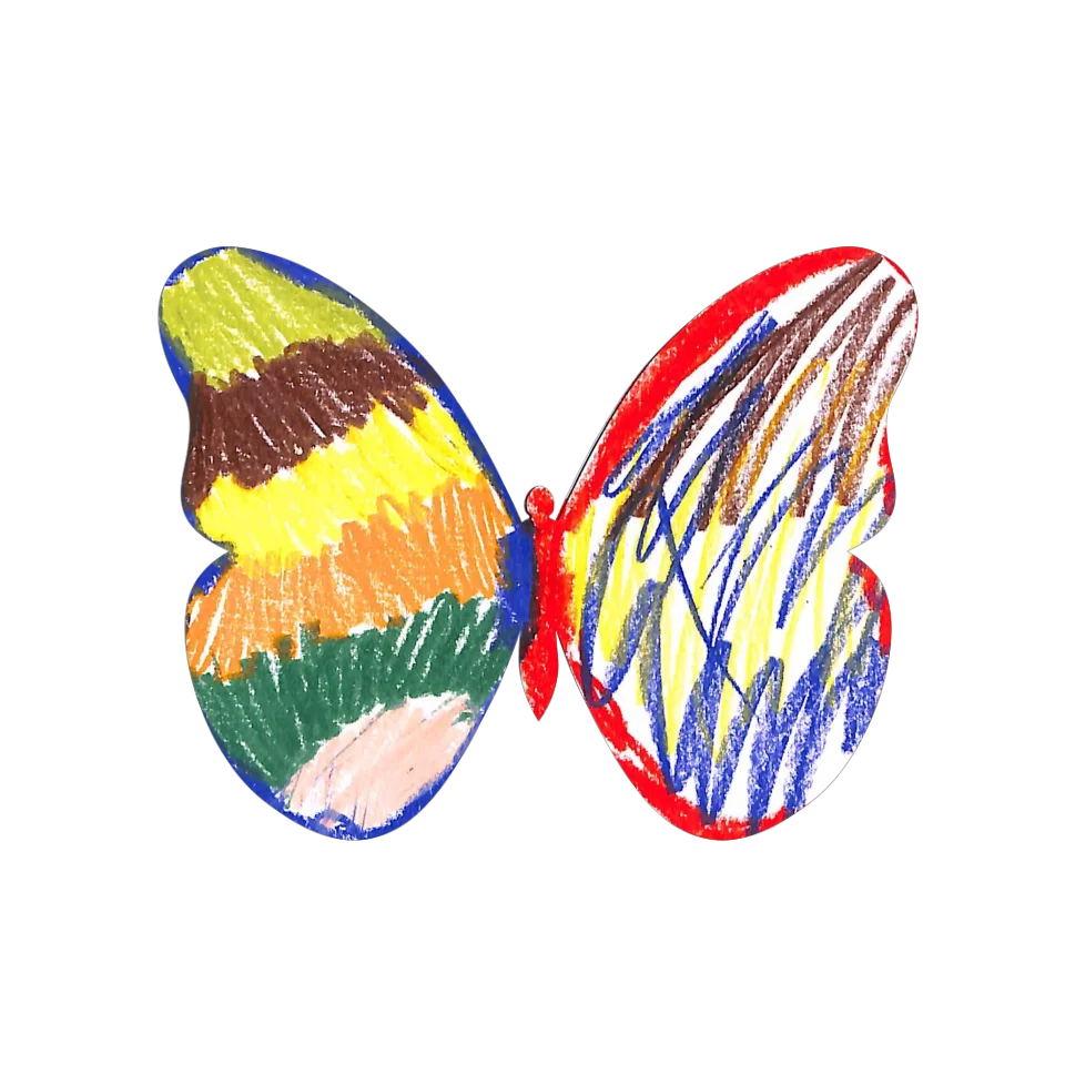 Original Butterfly Image