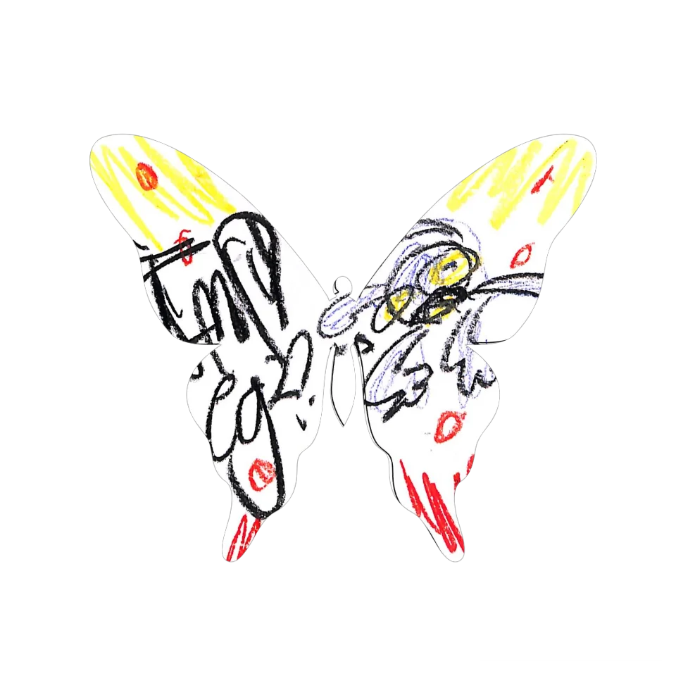 Original Butterfly Image
