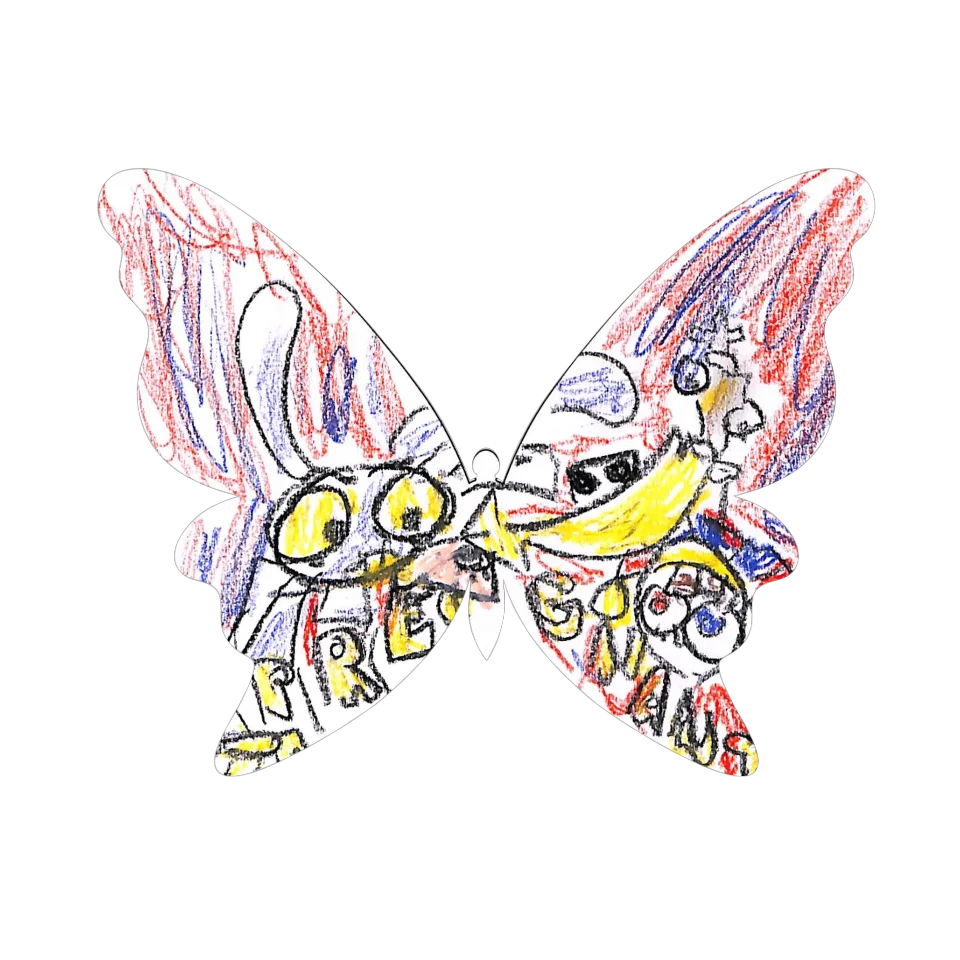 Original Butterfly Image