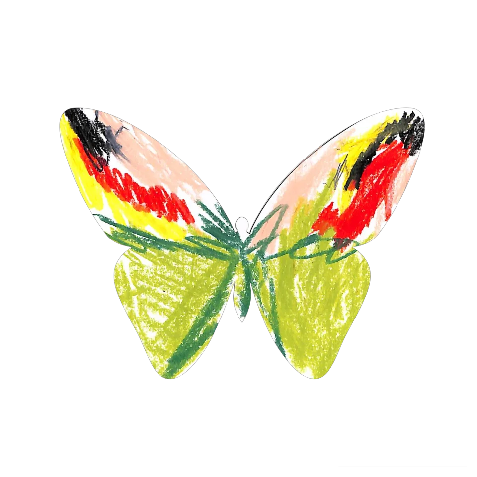 Original Butterfly Image