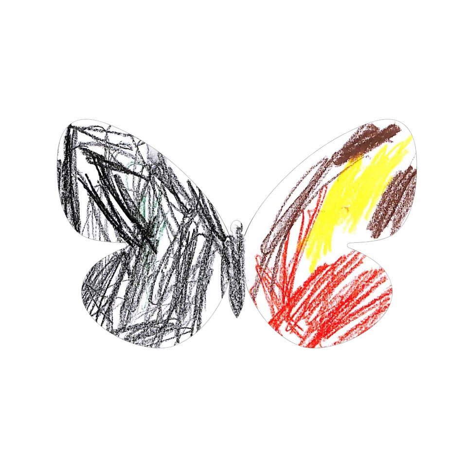 Original Butterfly Image