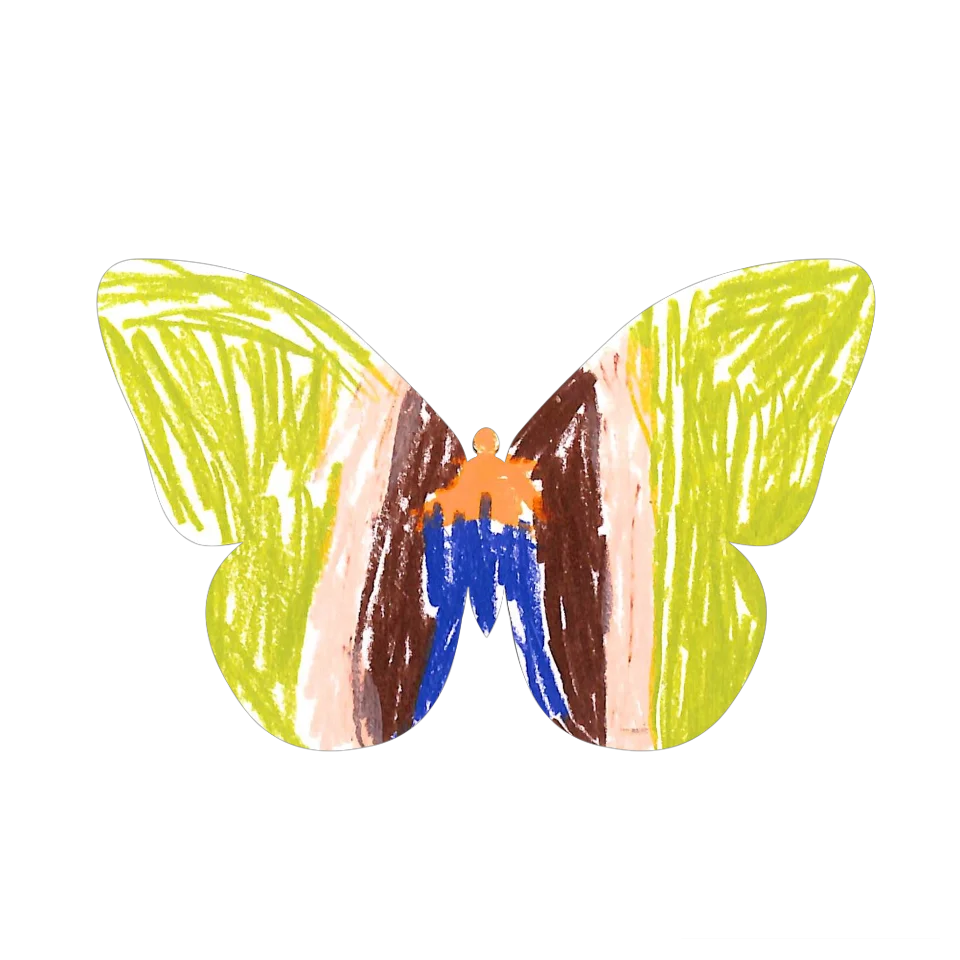 Original Butterfly Image