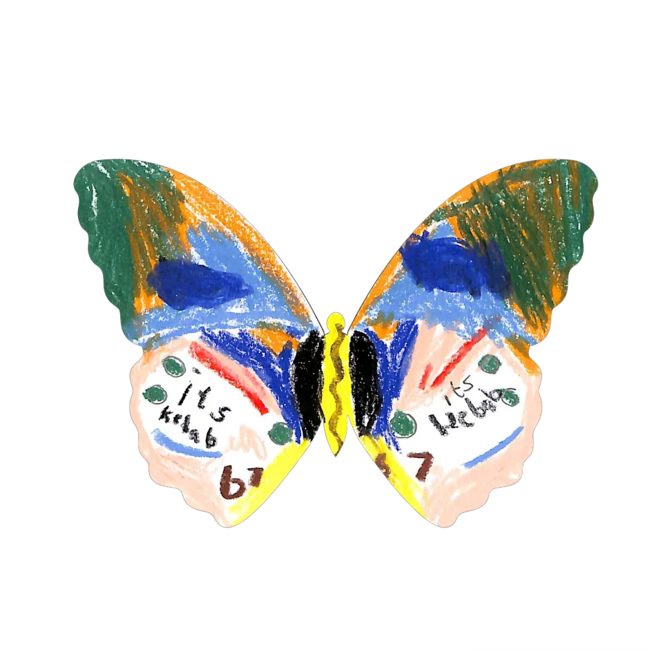 Original Butterfly Image