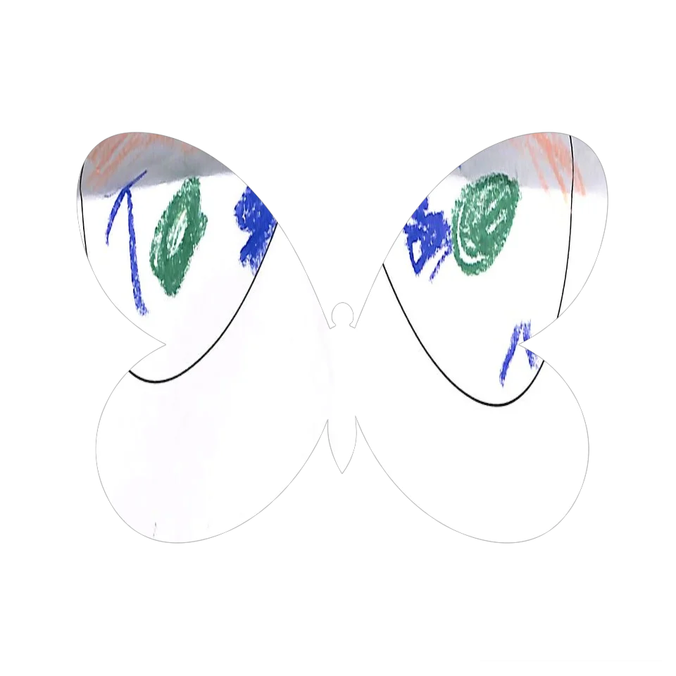 Original Butterfly Image