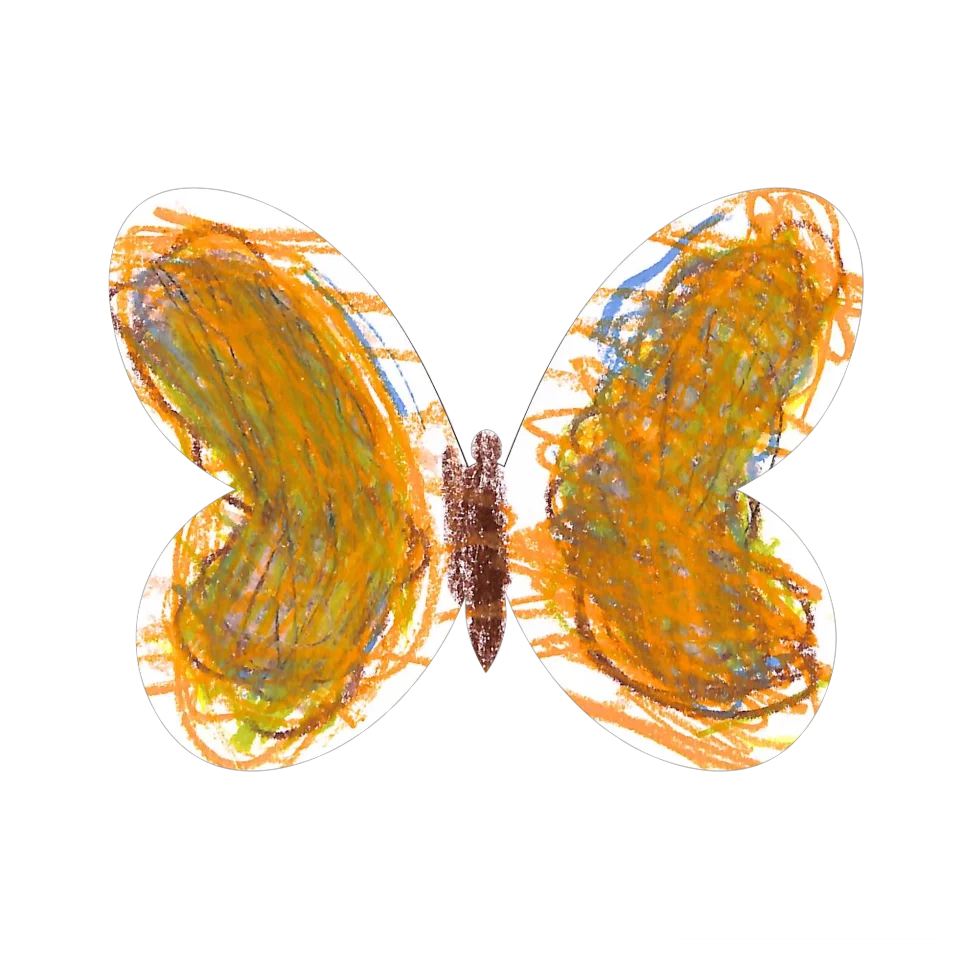 Original Butterfly Image