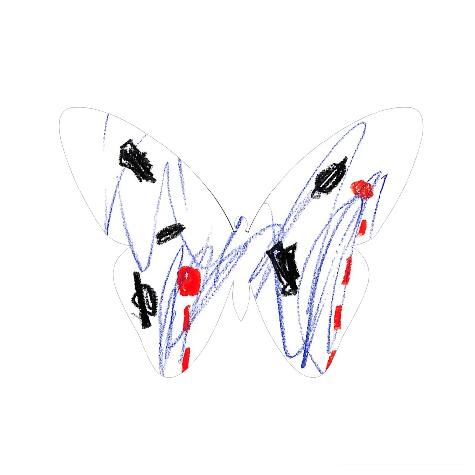 Original Butterfly Image