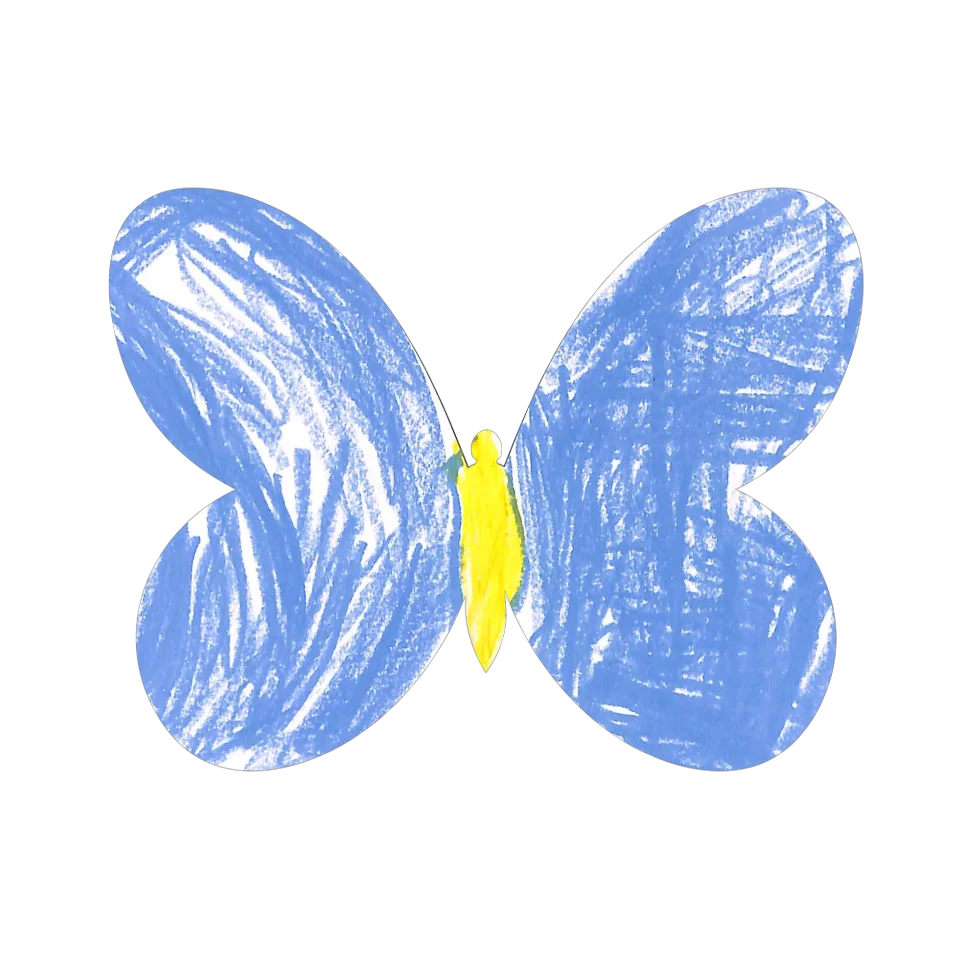 Original Butterfly Image