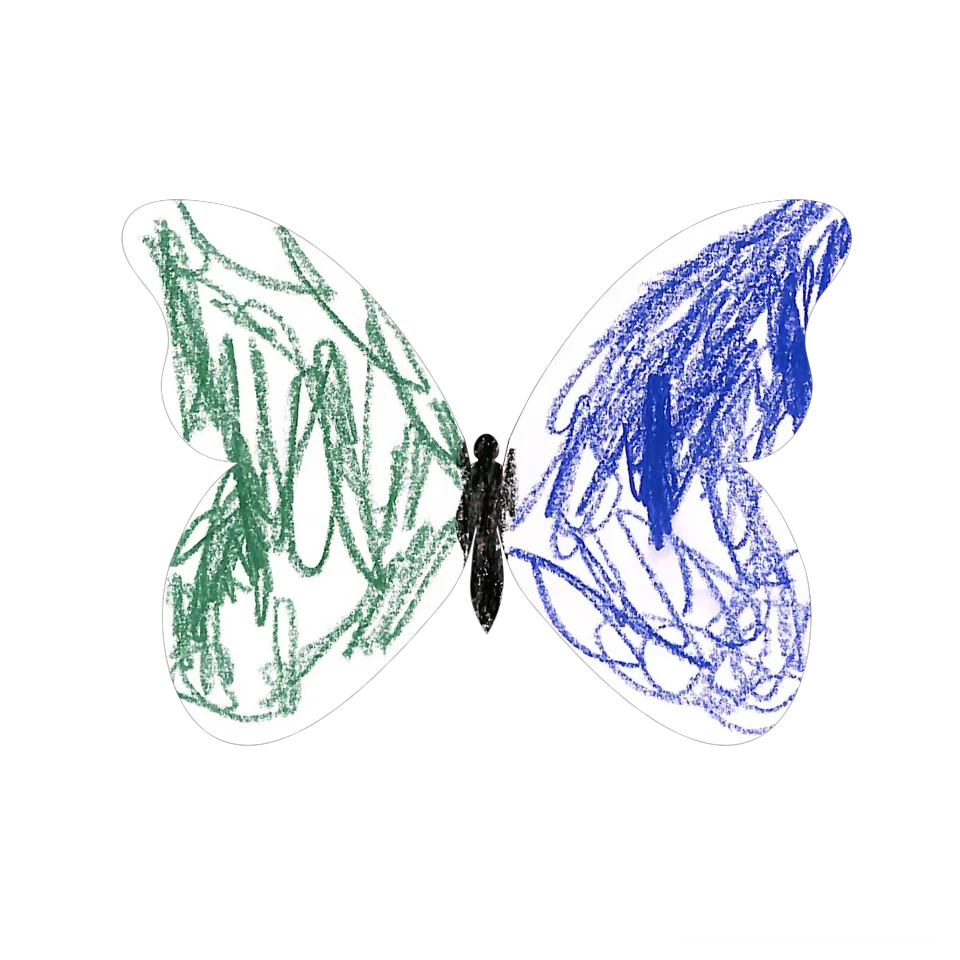 Original Butterfly Image