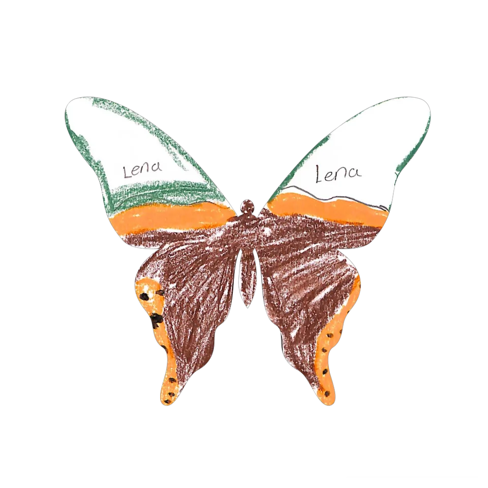 Original Butterfly Image