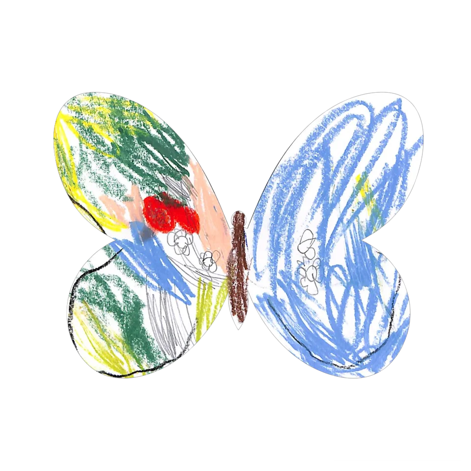 Original Butterfly Image