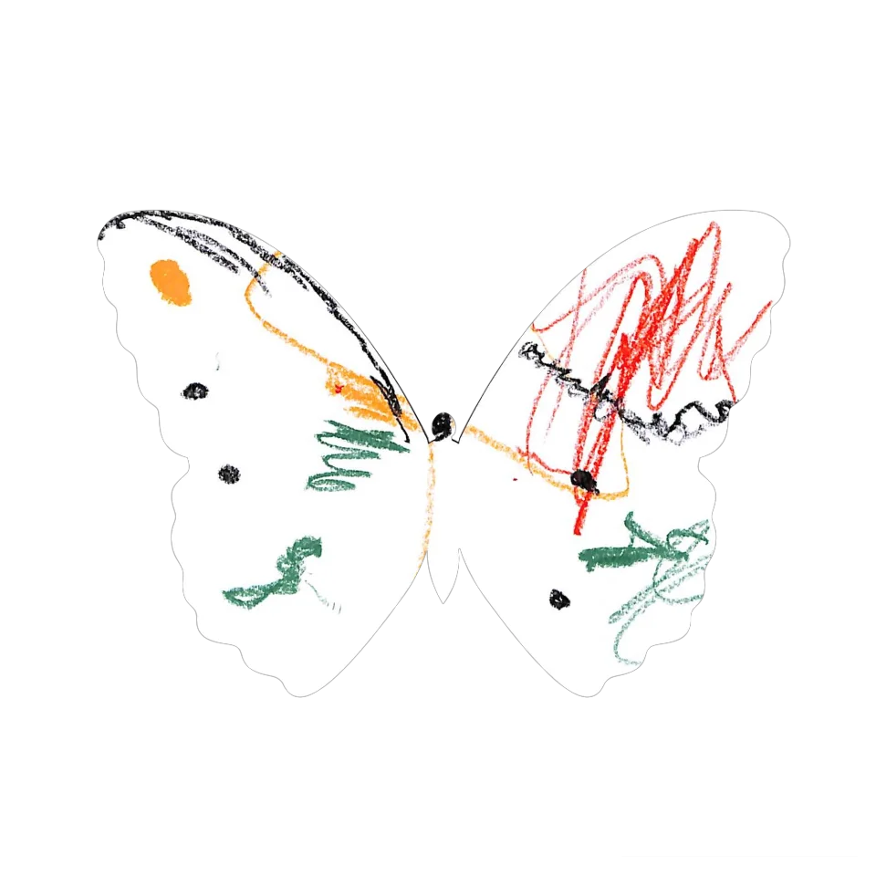 Original Butterfly Image