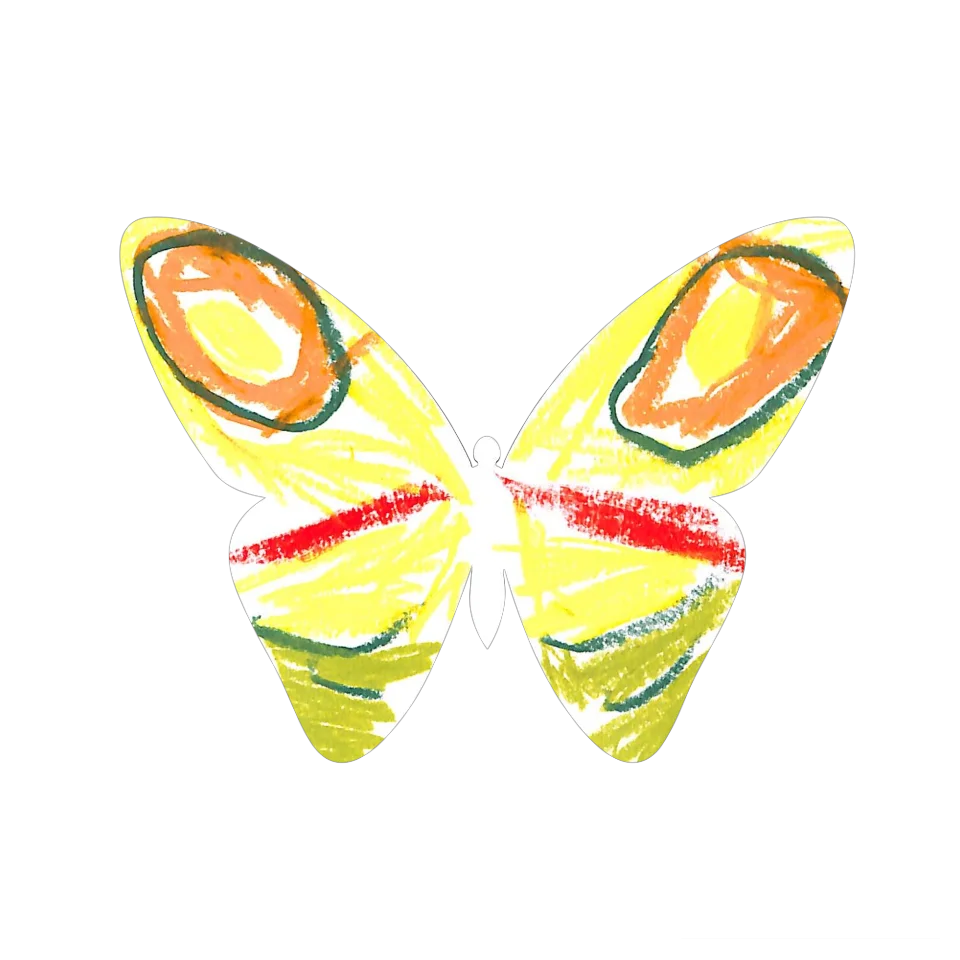 Original Butterfly Image
