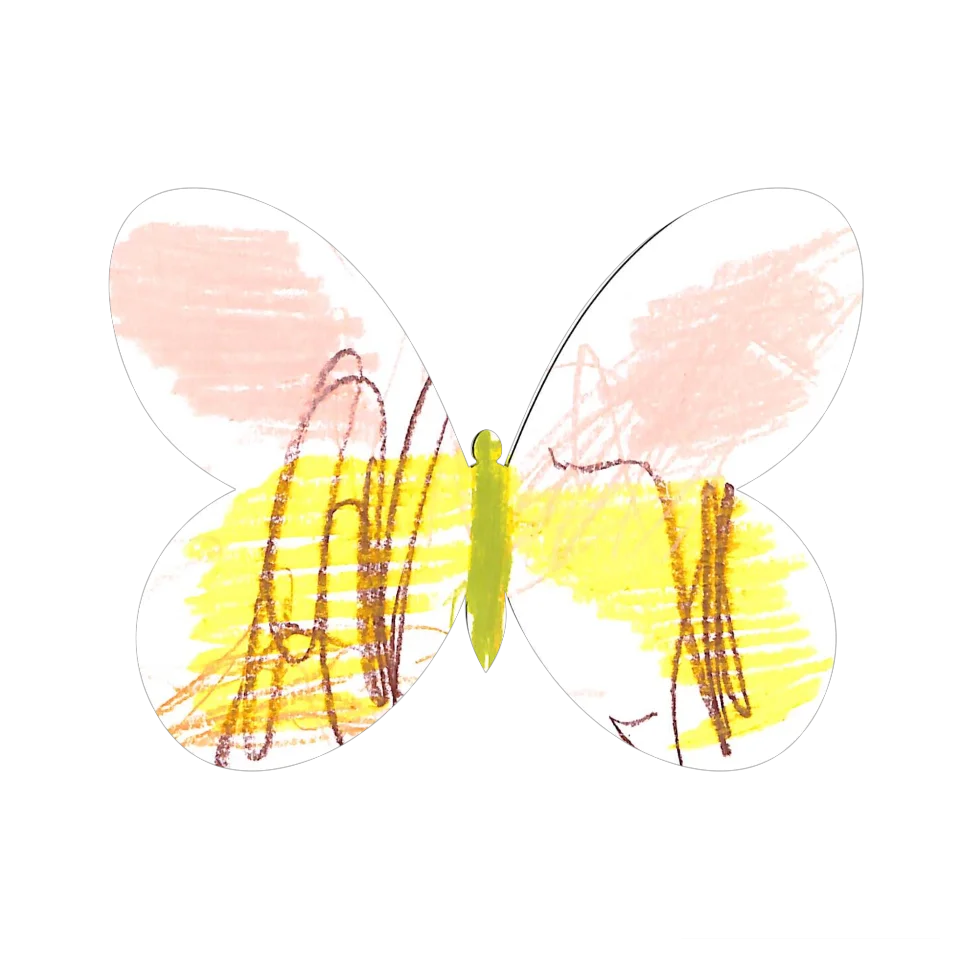 Original Butterfly Image