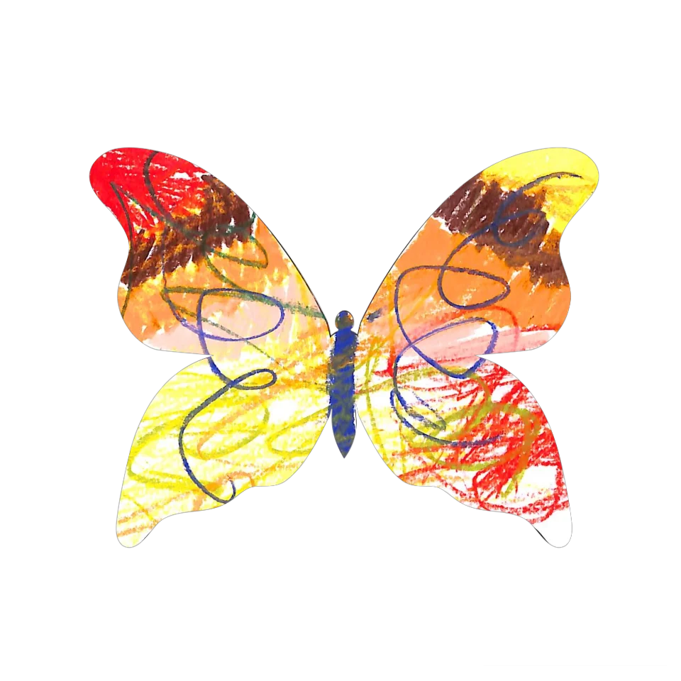 Original Butterfly Image