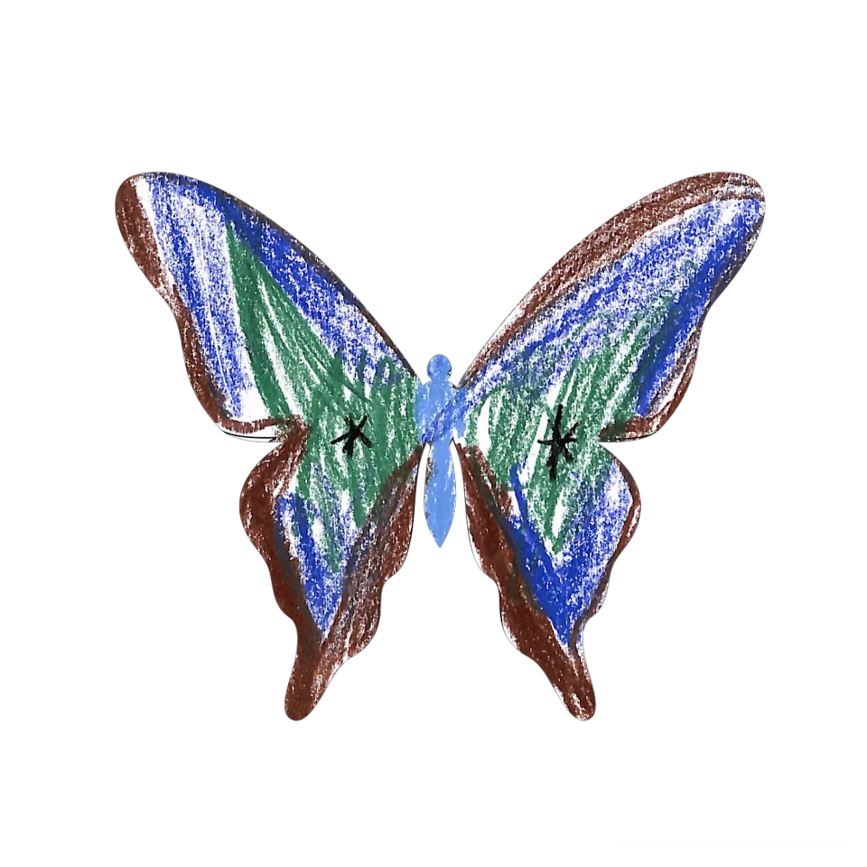 Original Butterfly Image