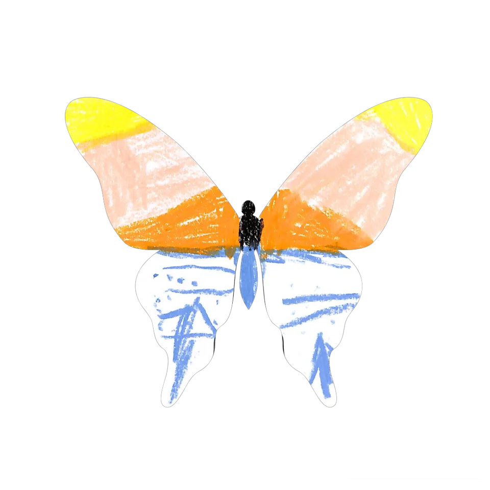 Original Butterfly Image