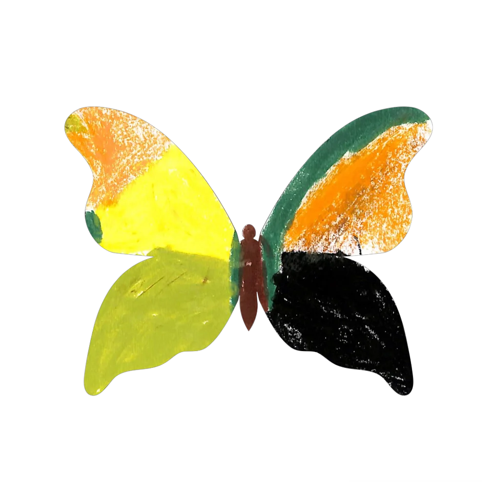 Original Butterfly Image