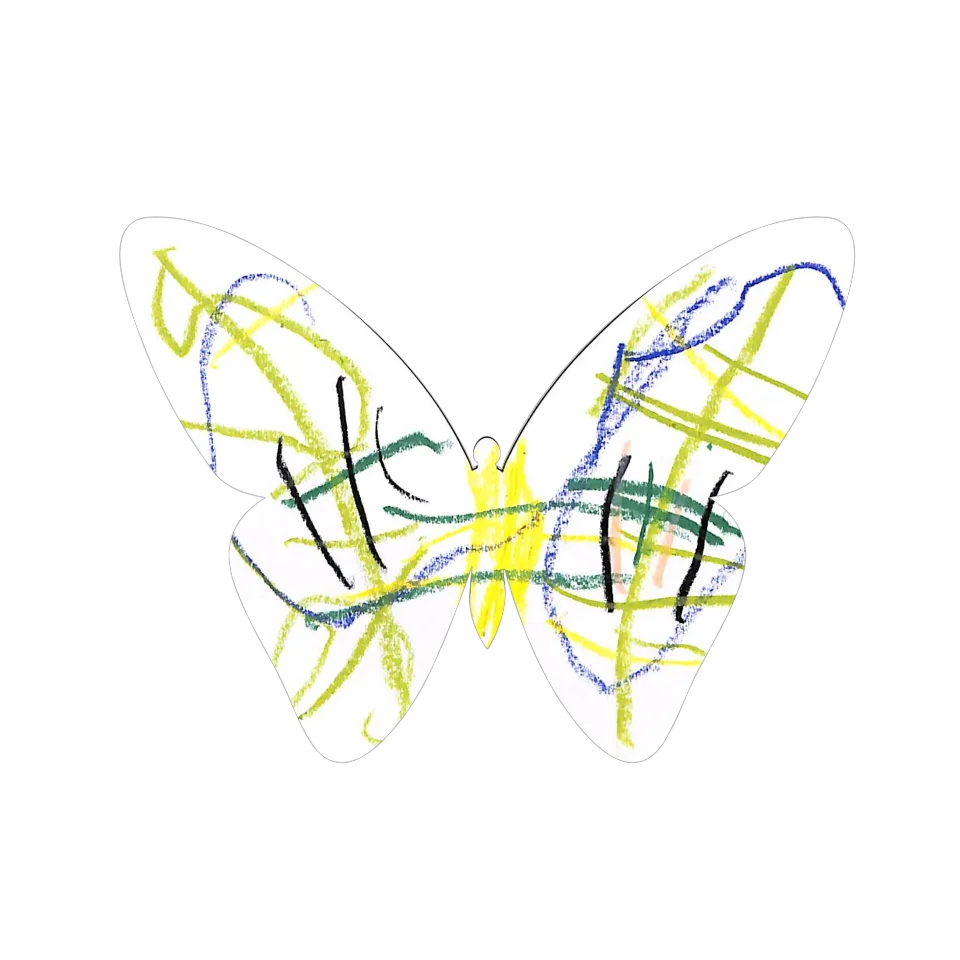 Original Butterfly Image
