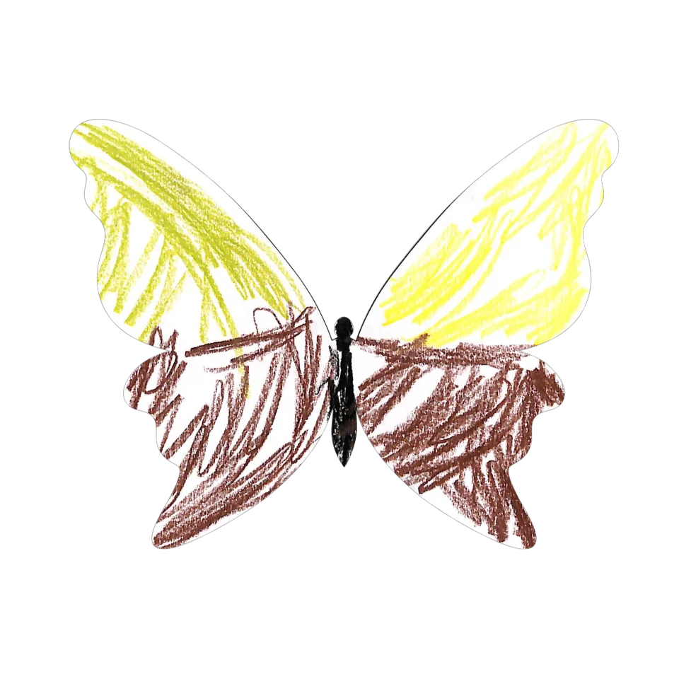 Original Butterfly Image