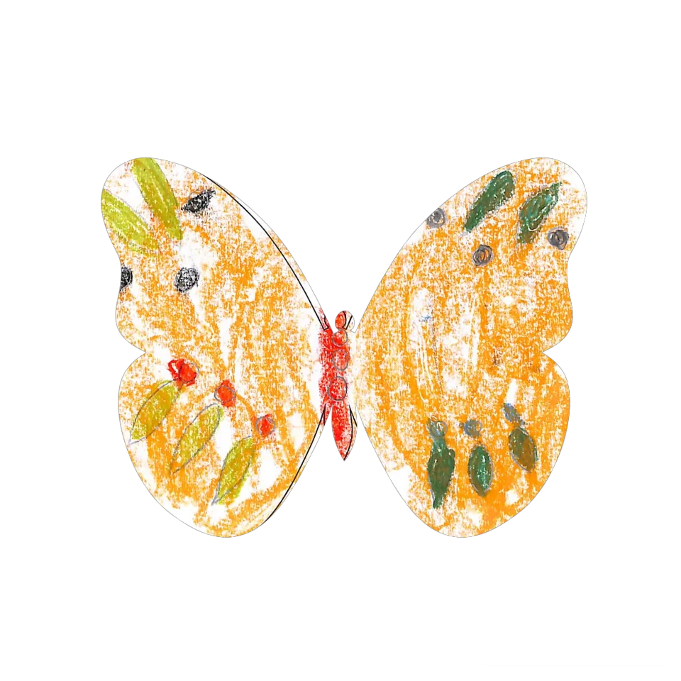 Original Butterfly Image