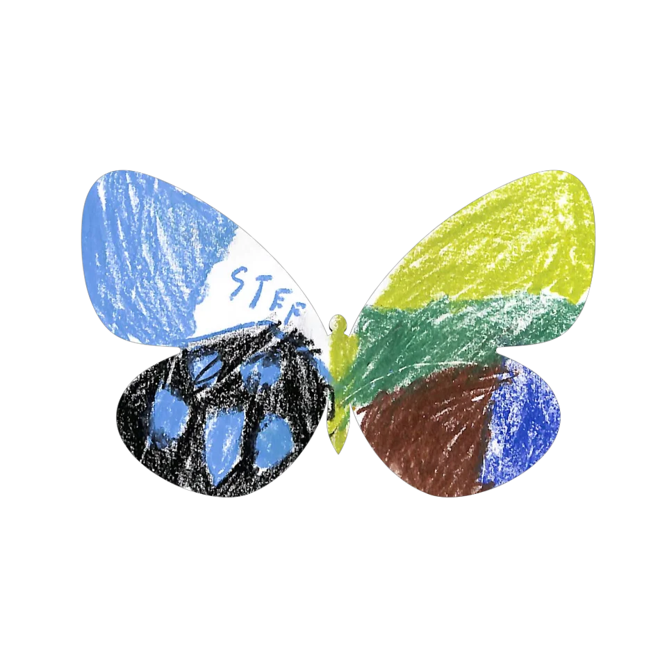 Original Butterfly Image