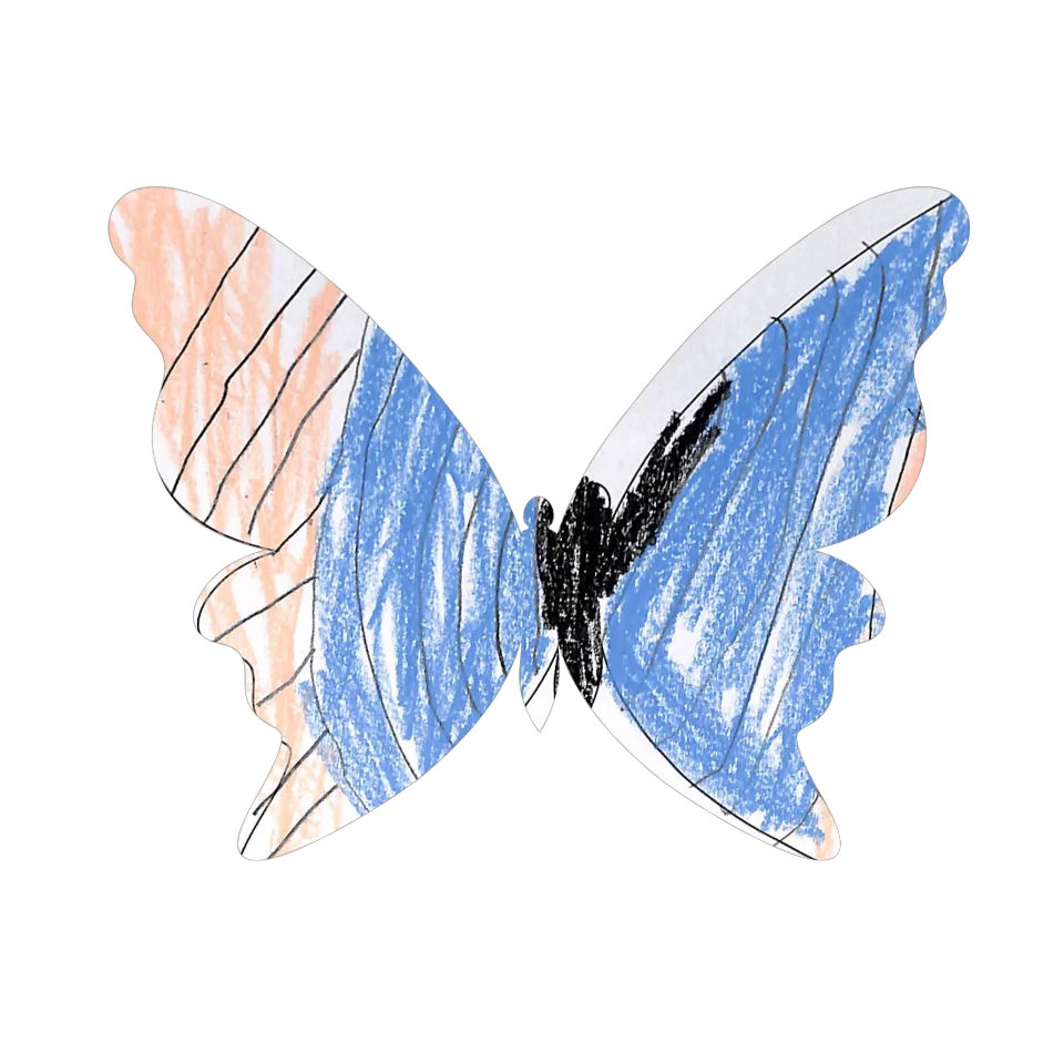 Original Butterfly Image