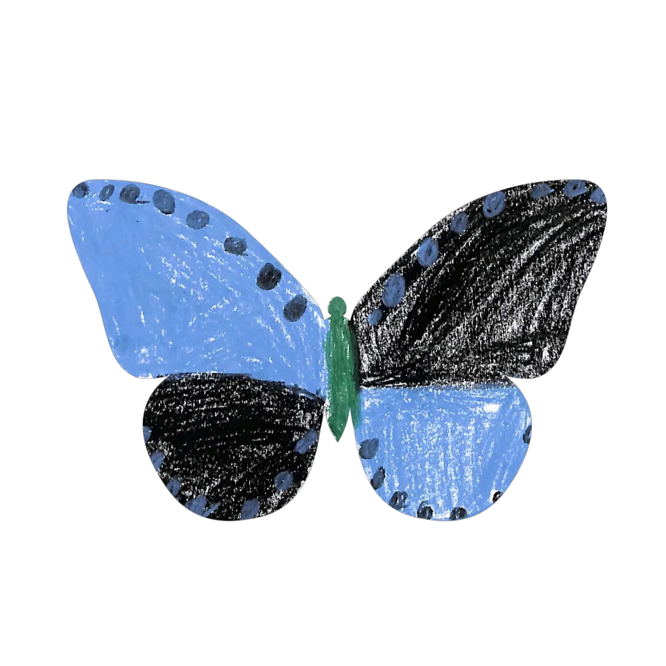 Original Butterfly Image