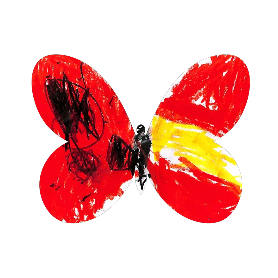 Original Butterfly Image