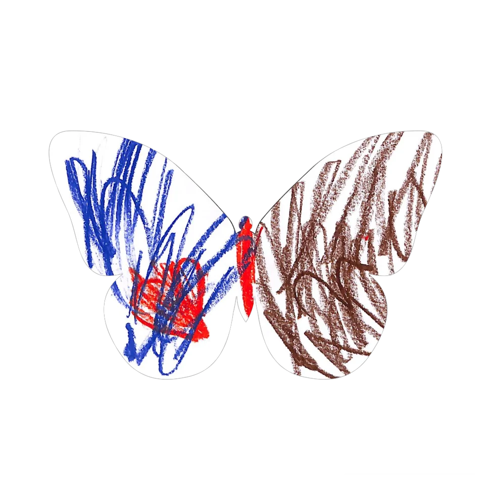 Original Butterfly Image