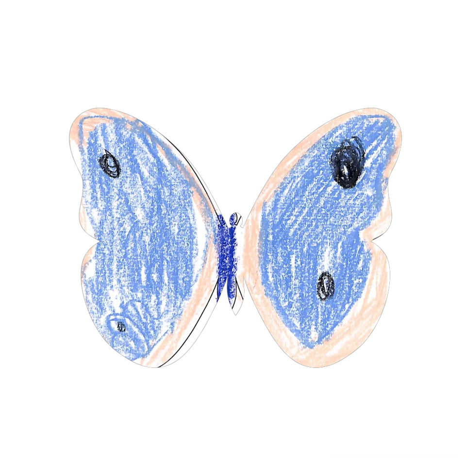 Original Butterfly Image