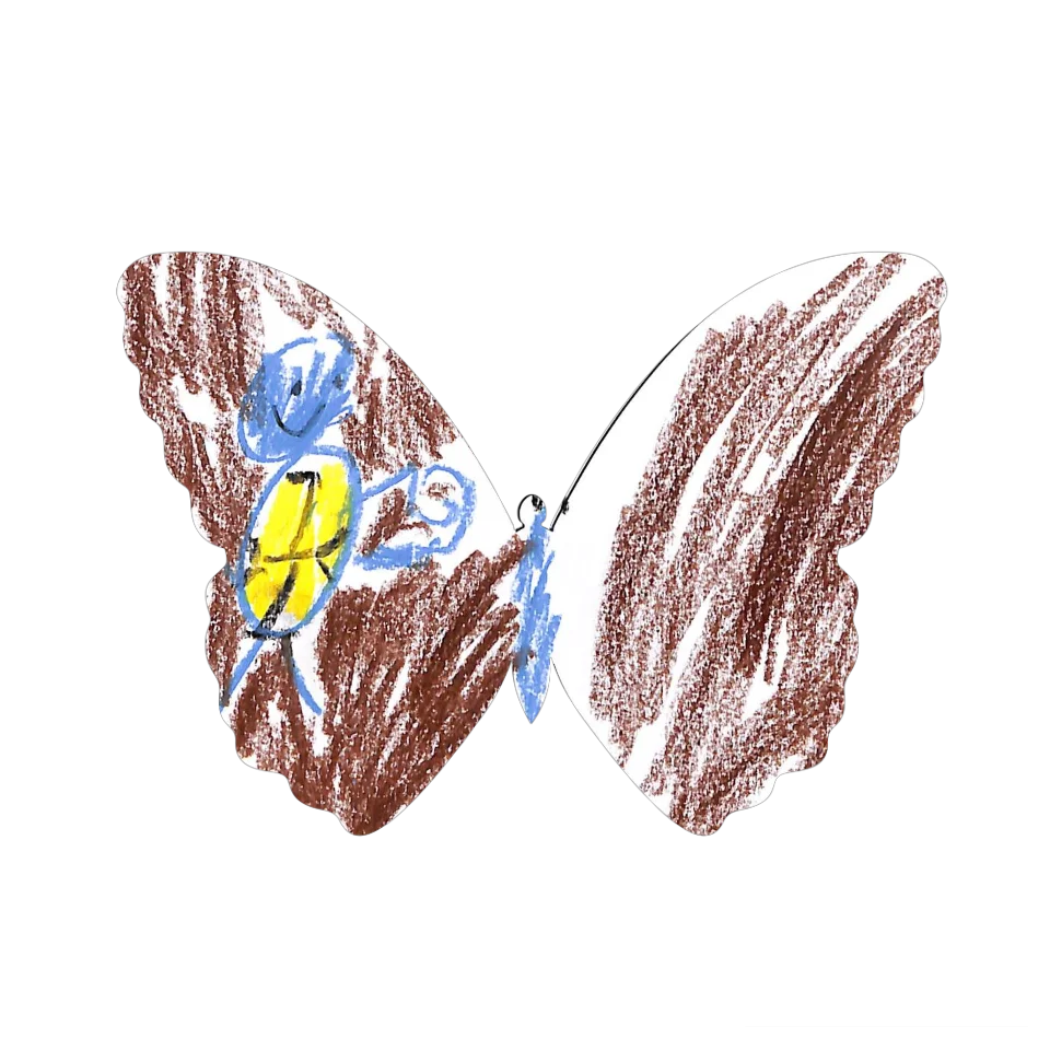 Original Butterfly Image