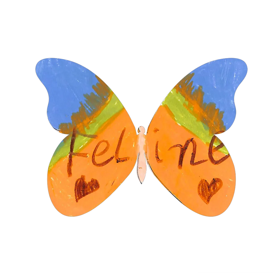 Original Butterfly Image