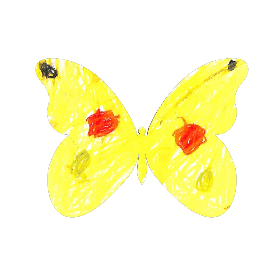 Original Butterfly Image