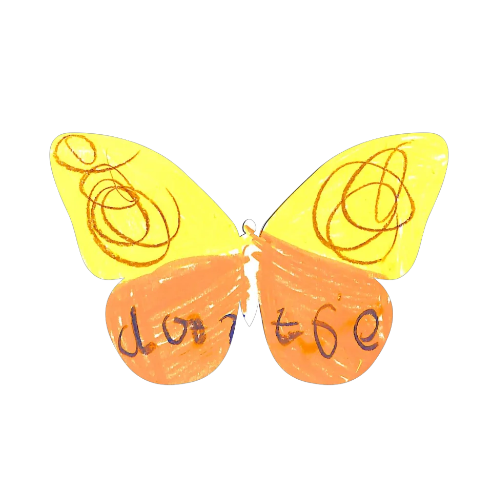 Original Butterfly Image