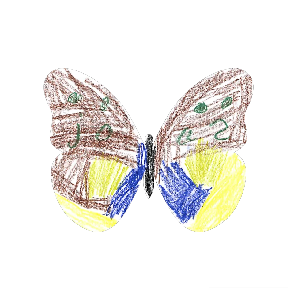 Original Butterfly Image