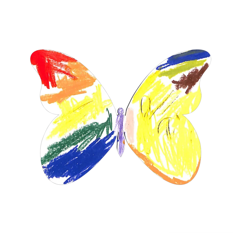Original Butterfly Image