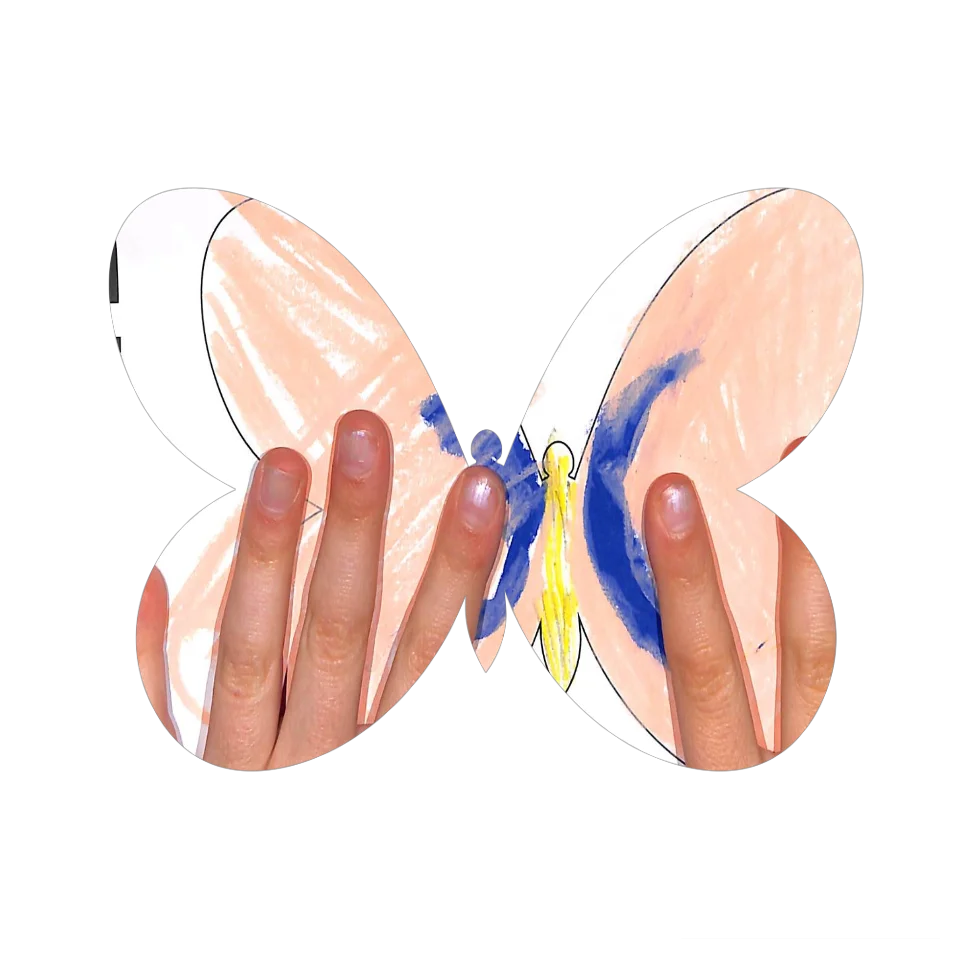 Original Butterfly Image