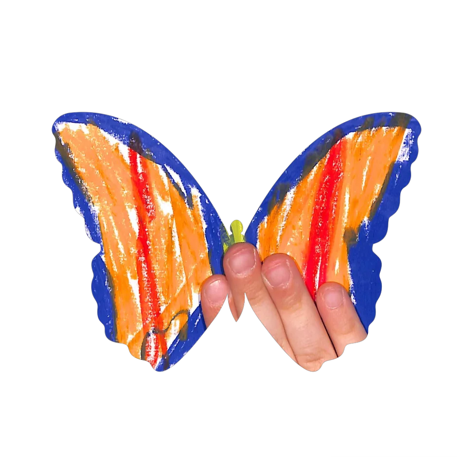 Original Butterfly Image