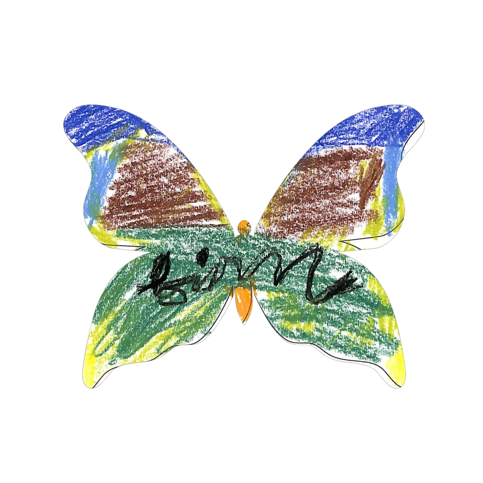 Original Butterfly Image