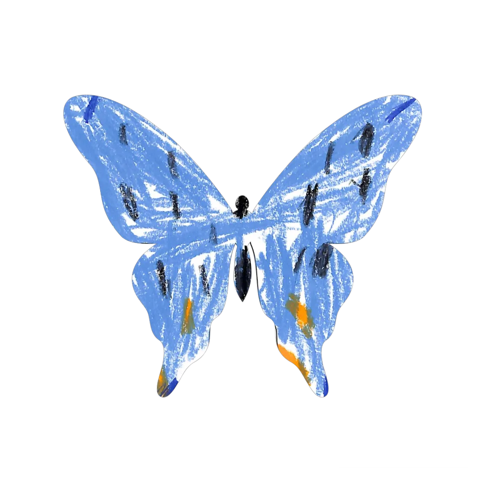 Original Butterfly Image