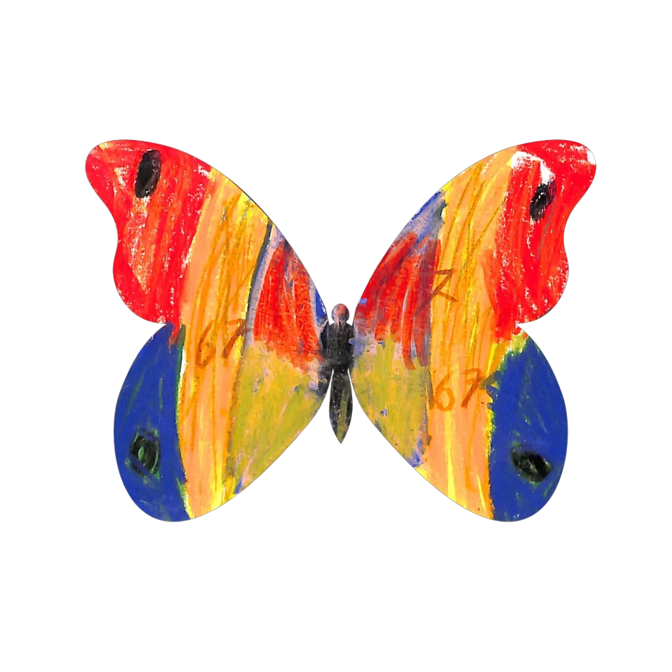 Original Butterfly Image