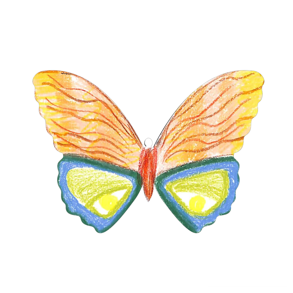Original Butterfly Image