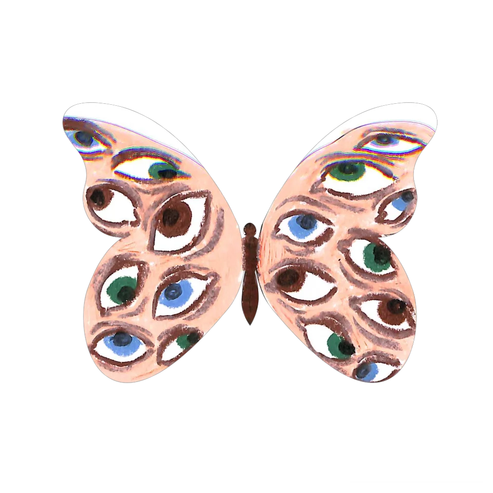 Original Butterfly Image