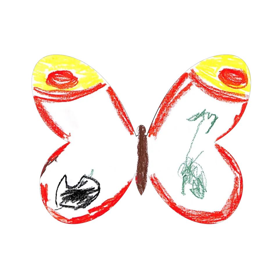 Original Butterfly Image