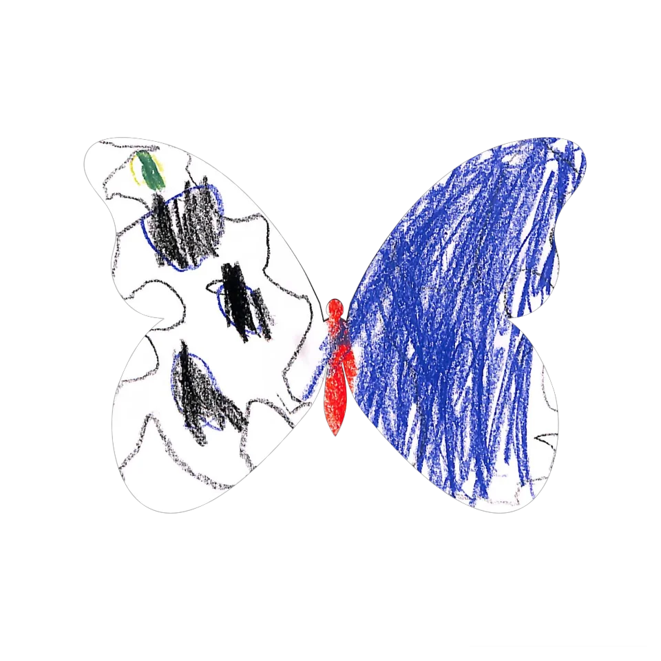 Original Butterfly Image