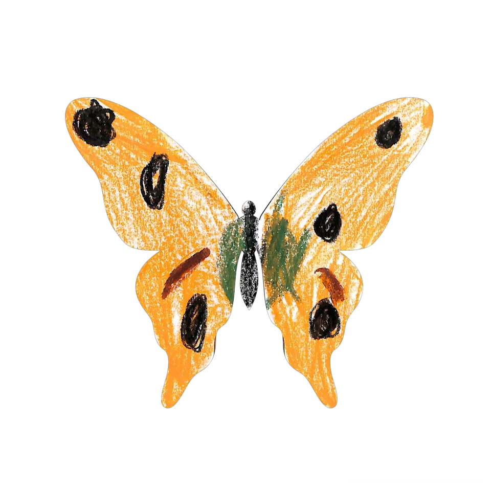 Original Butterfly Image