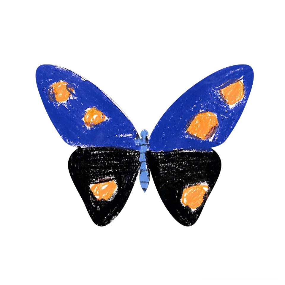 Original Butterfly Image