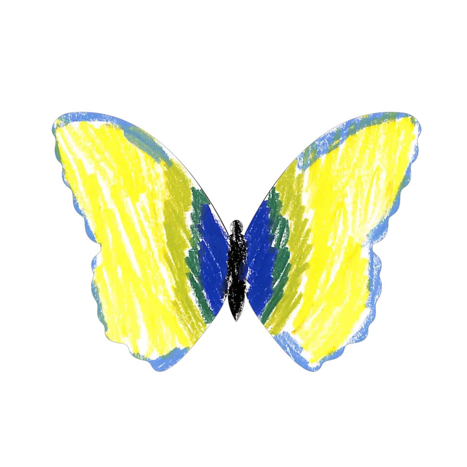 Original Butterfly Image
