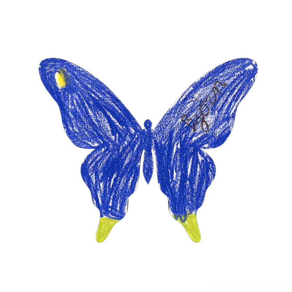Original Butterfly Image