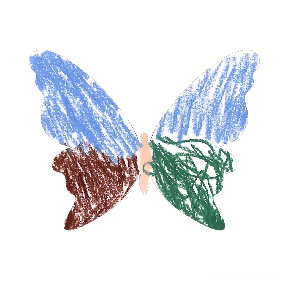 Original Butterfly Image
